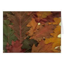 Autumn Leaves Greeting Cards