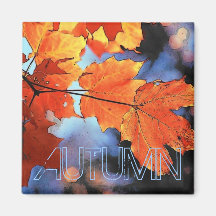 Autumn Leaves Magnet