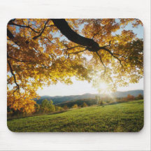 Autumn Leaves Mouse Mats