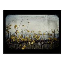 Autumn Leaves Postcards