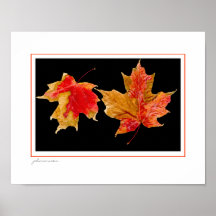 Autumn leaves poster