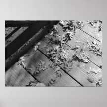 Autumn Leaves Posters
