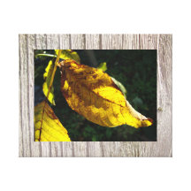 Autumn magic 1 canvas prints