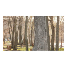 Autumn Picnic Trees Business Cards