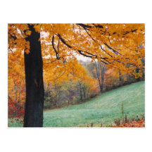 Autumn Postcard