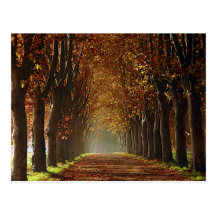 autumn postcard