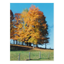 Autumn Postcards