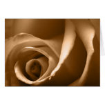 Autumn Rose Greeting Card
