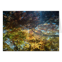 Autumn Splendour Card