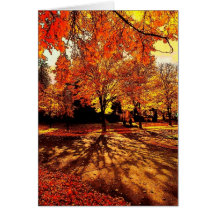 Autumn Splendour Card