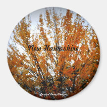 Autumn Splendour Magnet