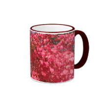 autumn splendour mug