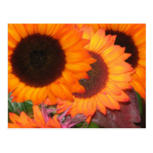 Autumn Splendour Postcard