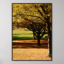 Autumn Splendour Posters