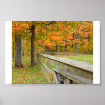 Autumn Splendour Print