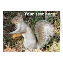 Autumn Squirrel Template Greeting Cards