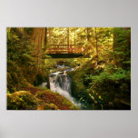 Autumn stream poster