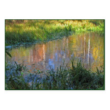 Autumn Swamp Reflections ATC Business Cards