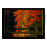 Autumn Thank You Acknowledgement cards
