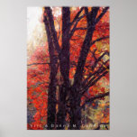 Autumn Tree Poster