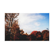 Autumn Trees Gallery Wrapped Canvas