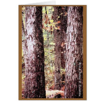 Autumn Wood Greeting Cards