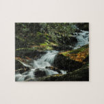 Autumn Woodland Waterfall Puzzle puzzles