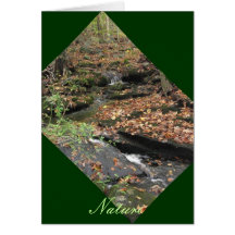 Autumn Woods Creek notecard