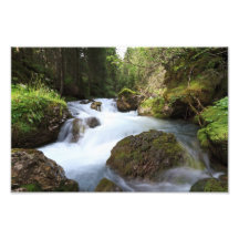 Avisio stream, Canazei Photo