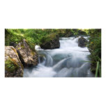 Avisio stream, Italy Customized Photo Card