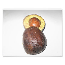 Avocado Persea americana Photograph