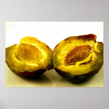 Avocado Poster