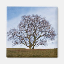 awaiting seasons fridge magnet