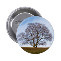 awaiting seasons pins