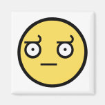 Awesome Disapproval Face Refrigerator Magnet