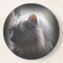 Awesome Grey Cat decorative coaster