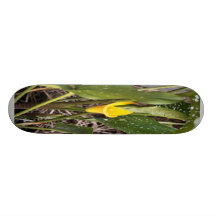 Awesome Lilly Custom Skateboard