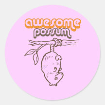 Awesome Possum Stickers