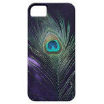 Awesome Purple Peacock Feather