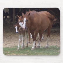 AX- Horse Lovers Design Mouse Pads