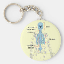 Axial skeleton diagram for medical students keychain