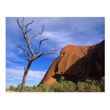 Ayers Rock Uluru in the Outback Australia Post Cards