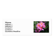 Azalea Business Card Templates
