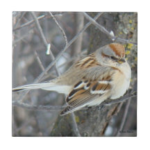 B0024 Common Sparrow Tiles