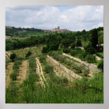 B016 Poster - Tuscan Vineyard and hilltown
