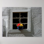 B&W Colour Splash Wall Flowers Poster