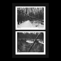 B&W Winter #1 posters