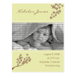 Baby Birth Announcement Khaki Branch Design Postcard