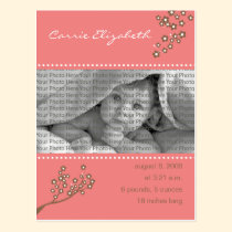 Baby Birth Announcement Pink Branch Design postcards
