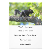 Baby Black Squirrel Custom Announcements